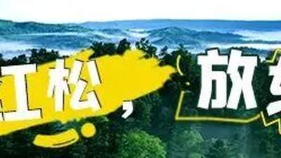 伊春夏季旅游别乱买！当地市场监管喊你这些价格坑别踩 快来自查整改