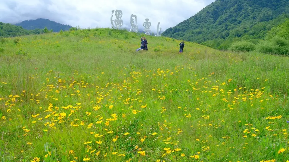 四川石棉：摄影基地百花开，避暑拍照两相宜！