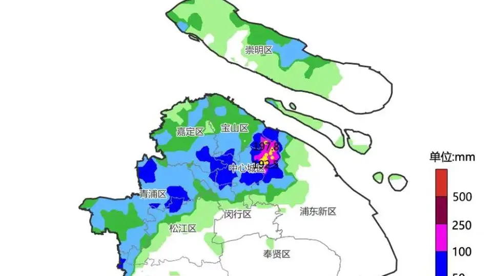 暴雨致复旦校园多处积水,校方:已恢复正常通行