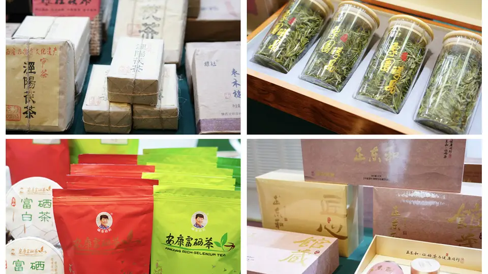 上千亩茶园产好茶 陕茶携新技术进疆签约 观众见证边销茶生产