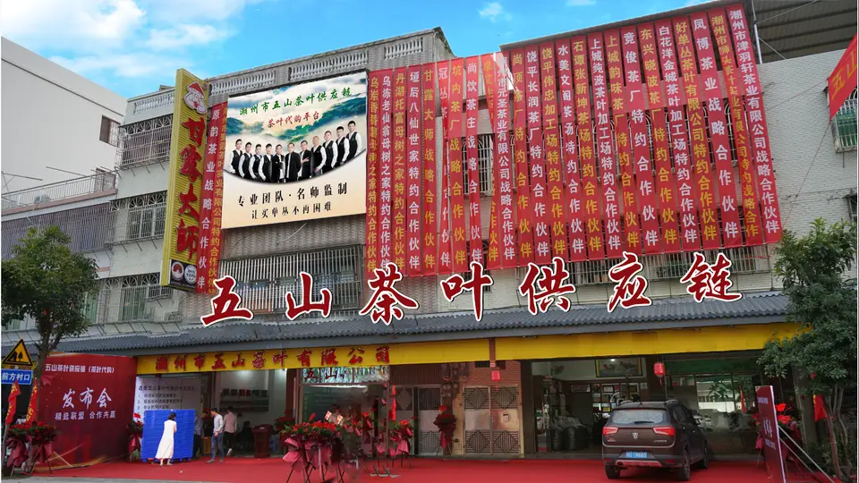 来感受五山茶叶多元茶品定制方案！参与茶产业升级的创新实践