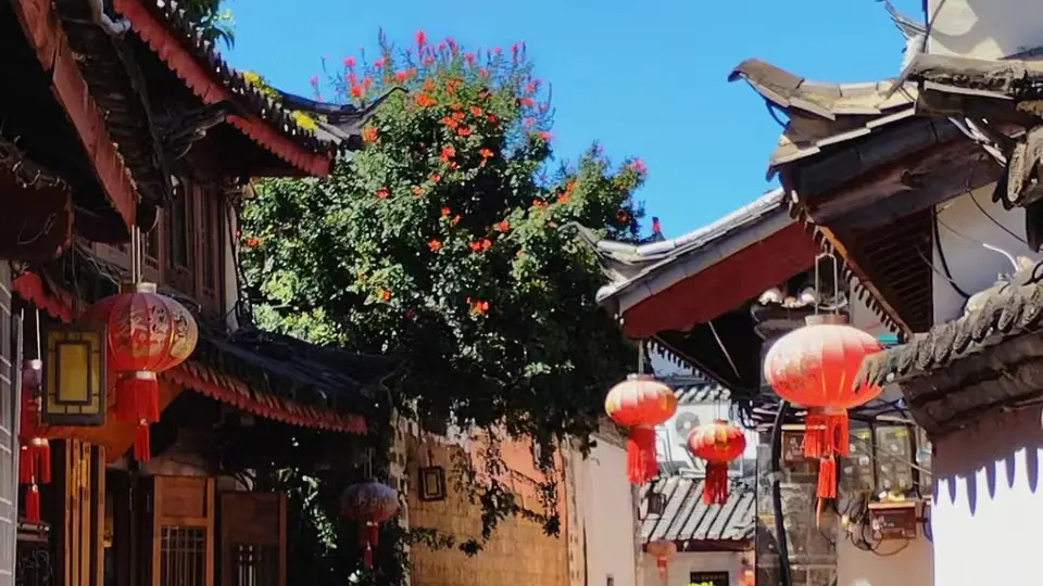 暑期情侣玩丽江别光想着玩 跟着多元活动走还能避开人潮清凉度夏