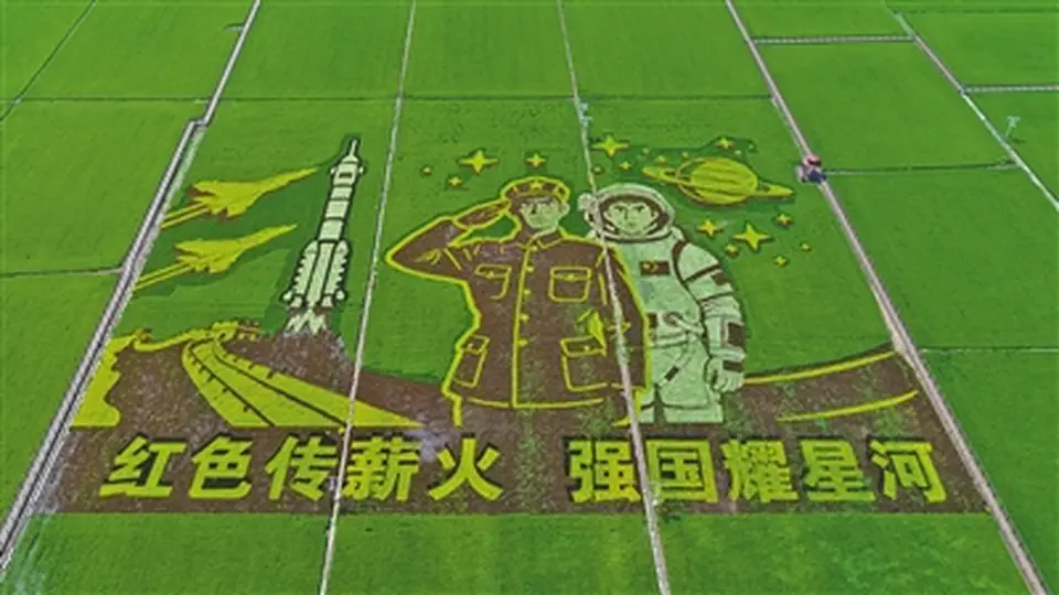 兴安盟古庙村稻田画盛景迎客 彩色秧苗绘就乡村文旅新景致