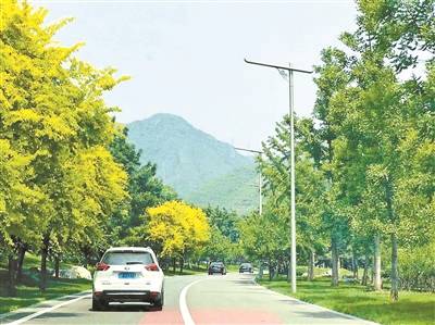 乌鲁木齐、成都等成暑期自驾游热门目的地