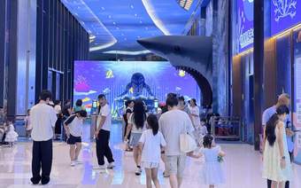 前海海底世界“仿赌桌游”引争议 景区回应称将整改
