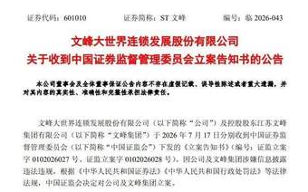 突发!601010及控股股东双双遭立案调查