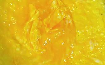 海鲜菇炒鸡蛋皮梁子湖的腌鳜鱼空气炸锅烤的鸡腿还有我最爱的沙拉芝麻菜爱就是一起吃好多好多顿饭