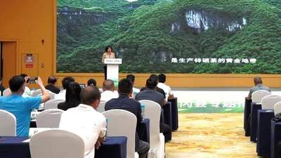 重庆李旭霞一纸“手绘图”的十年凤冈茶钟情