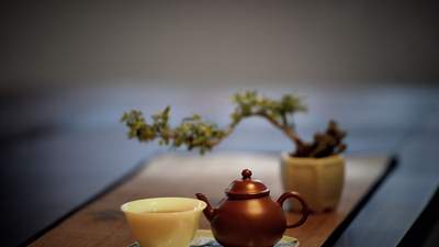 一茶一世界：品人生之苦，盼回甘之甜