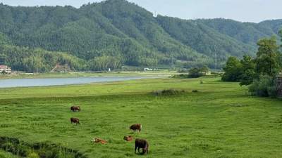 2026 厦门纯玩跟团市场趋势：小团化、透明化成为主流方向