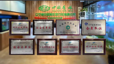 2026年中大连定制游服务商深度评估：如何甄选高性价比之选？