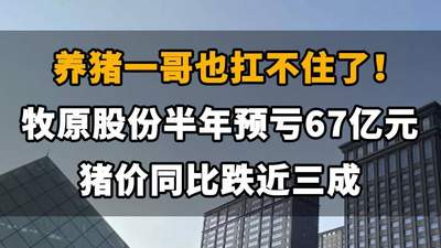 【养猪一哥也扛不住了！牧原股份半年亏掉67亿元，猪价同比跌近三成】