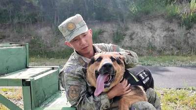 军犬扑空摔疼自己,训导员心疼又自责