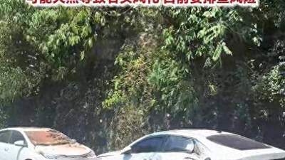 贵州赤水丹霞大瀑布景区发生山体落石 致车辆受损游客受伤