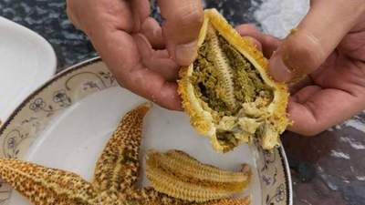 火锅局踩雷现场：我把海星的腥气吃成了全桌笑料