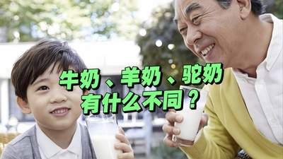 多元奶品大比拼 哪种更适合你日常饮用？