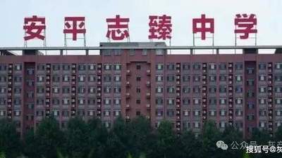 多元参与联动调查 衡水职介相关事件背后的公众关切与权益守护