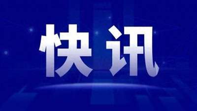 上海乐高乐园开业首年：接待游客人次创全球乐高乐园同期纪录，金山文体娱乐收入翻两番