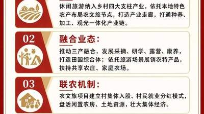 按照《乡村全面振兴规划》乡村休闲旅游应该怎么做？