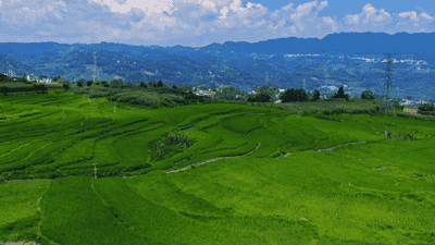 大方县小屯乡：千亩梯田，还你夏日清凉