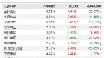 南方基金史博卸任多只产品，年内多位知名基金经理批量“减负”