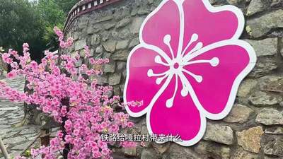 见证天路变迁二十年｜走进嘎啦村，遇见雪域桃源