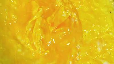 海鲜菇炒鸡蛋皮梁子湖的腌鳜鱼空气炸锅烤的鸡腿还有我最爱的沙拉芝麻菜爱就是一起吃好多好多顿饭