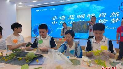 华裔青少年探秘湖北恩施非遗