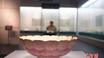 河南郑州：莲花文物专题展吸引观众