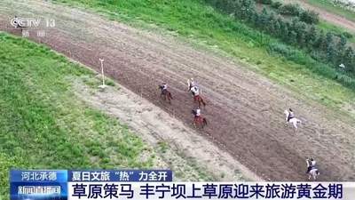 夏日限定文旅盛宴：草原骑马与民俗体验