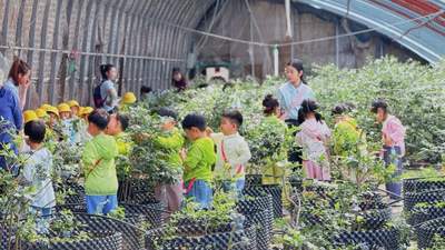 太子河区文旅融合:精雕细琢打造特色体验