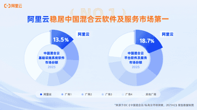 亲身体验混合云市场的实力角逐：阿里云在IDC两大核心软件及服务市场都拿下了第一席位