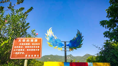 2026年想打卡高颜值景区？来体验正规服务商打造的多元活动与贴心服务，安心享受打卡时光