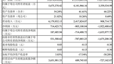 科创板最大IPO长鑫科技登场 参与打新的投资者有这些体验