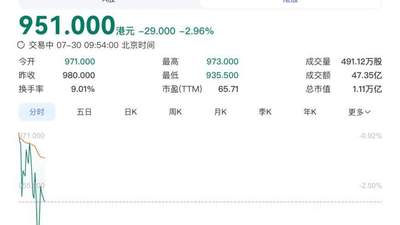 港交所迎今年最大IPO！中际旭创H股上市 募资超500亿引参与关注