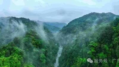 来天井山赴22℃清凉之约 沉浸式解锁森林秘境多元体验