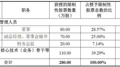 连亏两年的新晨科技发布股权激励计划：激励对象仅6人，公司层面业绩考核目标仅涉及营业收入