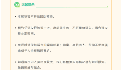 浙博再现圆明园特展现场观展体验失控临时闭馆 观众排队秩序被打乱 馆方正协调人流恢复参观