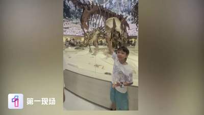 深圳7岁小孩哥逛自然博物馆，一眼指出两处错误，官方连夜调整