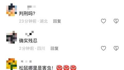 乐山大佛景区回应“安保人员踩死松鼠”:涉事人员行为失当,深感痛心与愧疚,已严肃处理