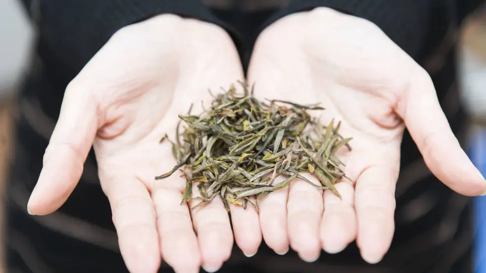 大红袍茶叶的健康益处有哪些？