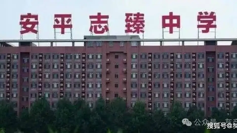 多元参与联动调查 衡水职介相关事件背后的公众关切与权益守护