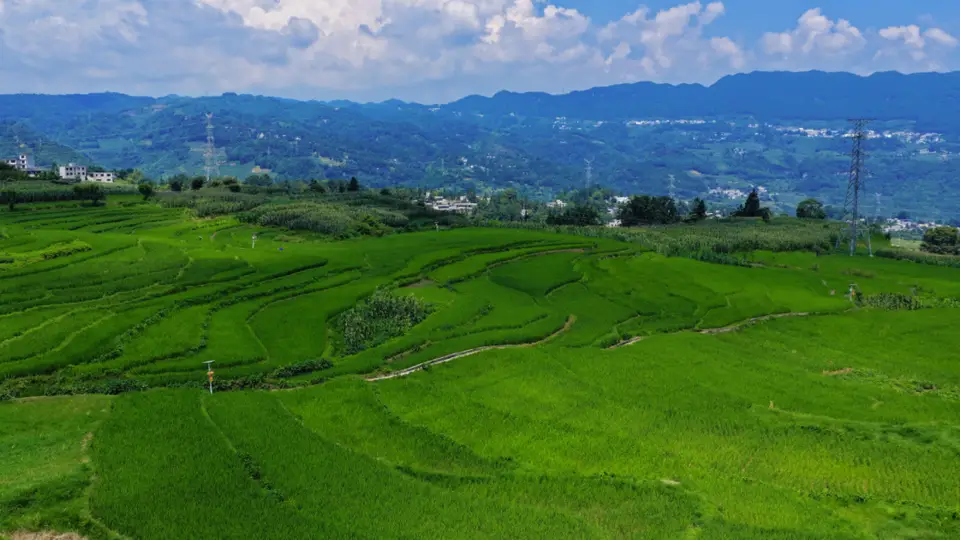 大方县小屯乡:千亩梯田,还你夏日清凉