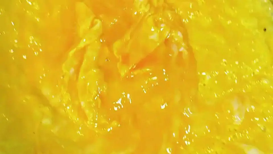 海鲜菇炒鸡蛋皮梁子湖的腌鳜鱼空气炸锅烤的鸡腿还有我最爱的沙拉芝麻菜爱就是一起吃好多好多顿饭