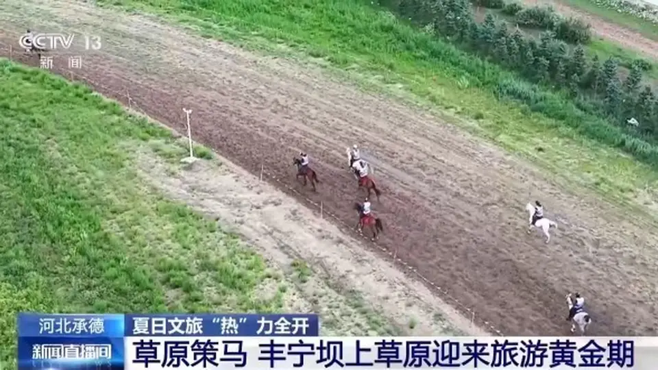 夏日限定文旅盛宴:草原骑马与民俗体验