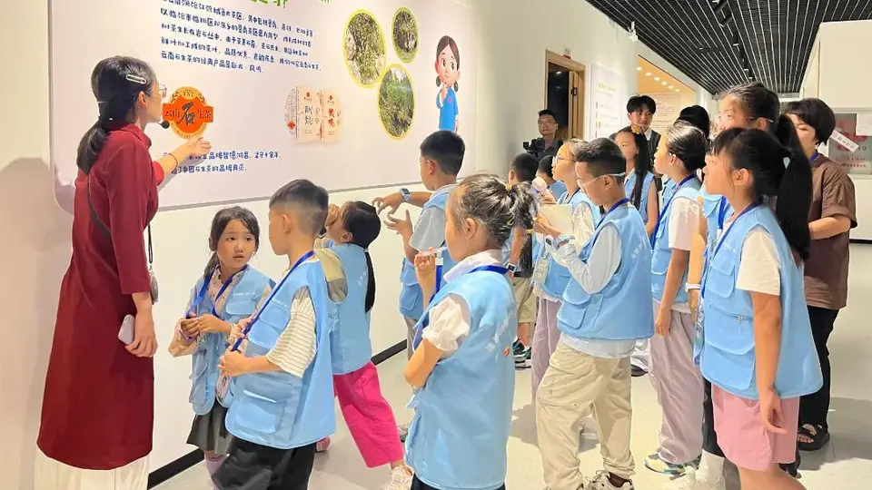 63名媒体小达人探访临沧茶企 沉浸式茶体验解锁本土茶韵魅力