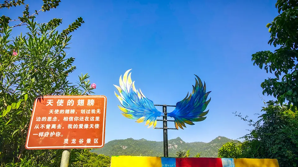2026年想打卡高颜值景区？来体验正规服务商打造的多元活动与贴心服务，安心享受打卡时光