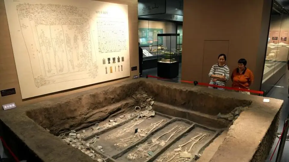 滕州考古特展开展 家长带孩子现场体验近万年文化魅力