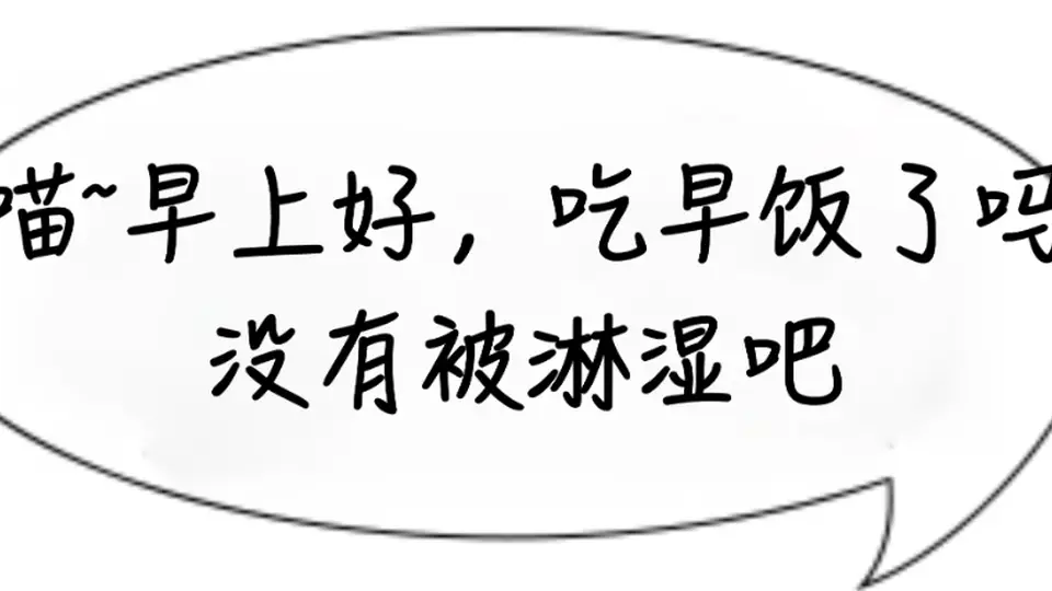 职场伙伴别错过!小猫·卫晨间餐加点蛋,控重补营养享多元活动新体验