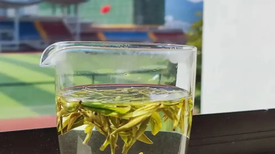 徽州松萝茶 赏茶园风光 品青橄榄般清香气韵 体验千年药茶独特滋味